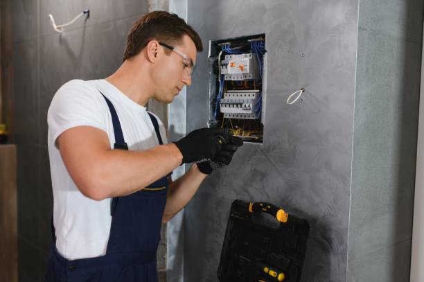 Best Electric Panel Repair  in Bradley, IL